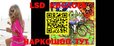 тгк Дмитров