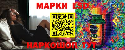 тгк Дмитров