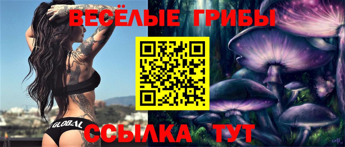 Псилоцибиновые грибы прущие грибы Янаул